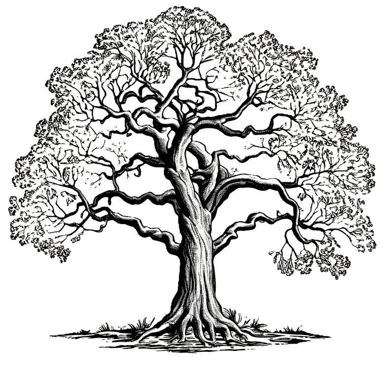 Chestnut Enterprises Logo Black and white image of a chestnut tree